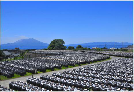 鹿児島の黒の文化